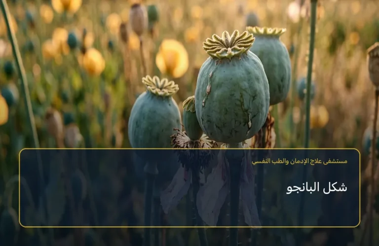شكل البانجو