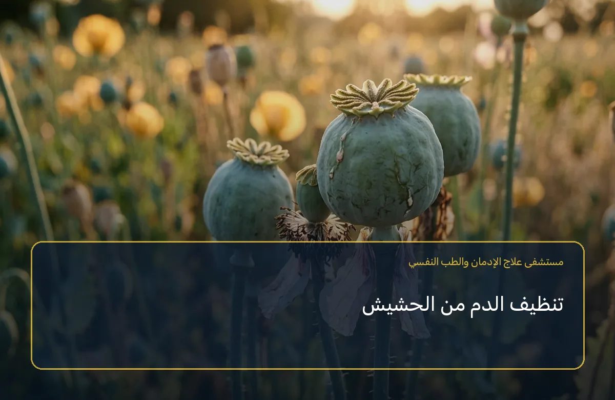 تنظيف الدم من الحشيش