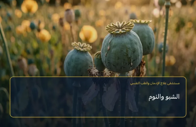 الشبو والنوم