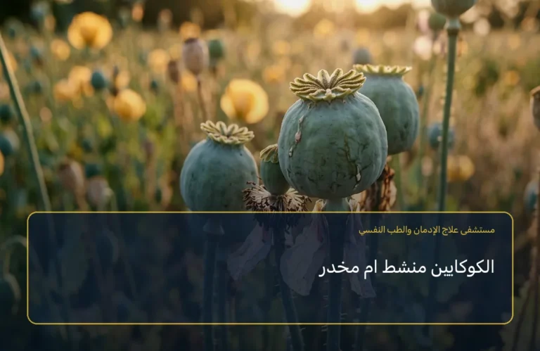 الكوكايين منشط ام مخدر