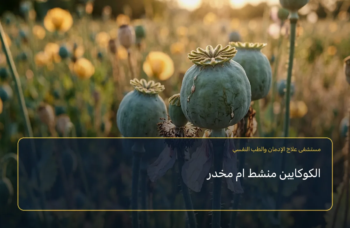 الكوكايين منشط ام مخدر