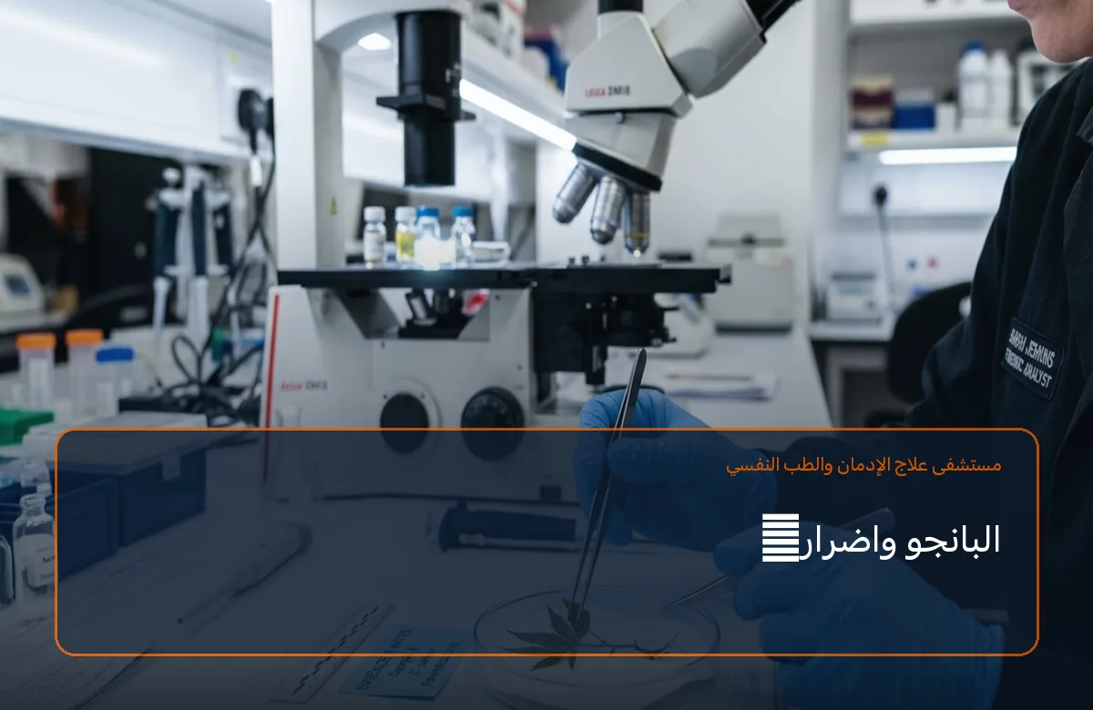 البانجو واضراره