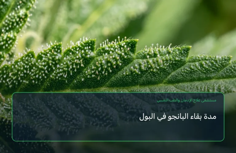 مدة بقاء البانجو في البول