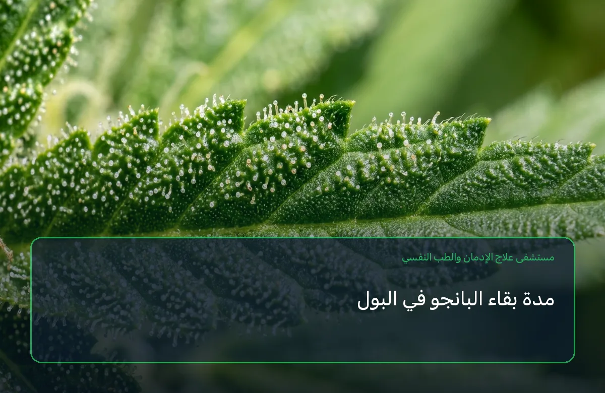 مدة بقاء البانجو في البول